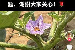 西甲积分榜：巴萨升第二锁定欧冠资格，剩5轮落后皇马11分